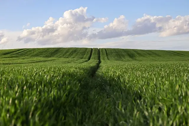 Les remorques agricoles et leur impact sur l'efficacité des exploitations