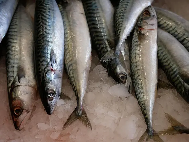Les erreurs courantes à éviter lors de l'achat de poisson frais