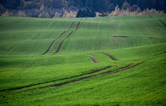 Comment Identifier les Pièces Détachées Compatibles pour Tracteur