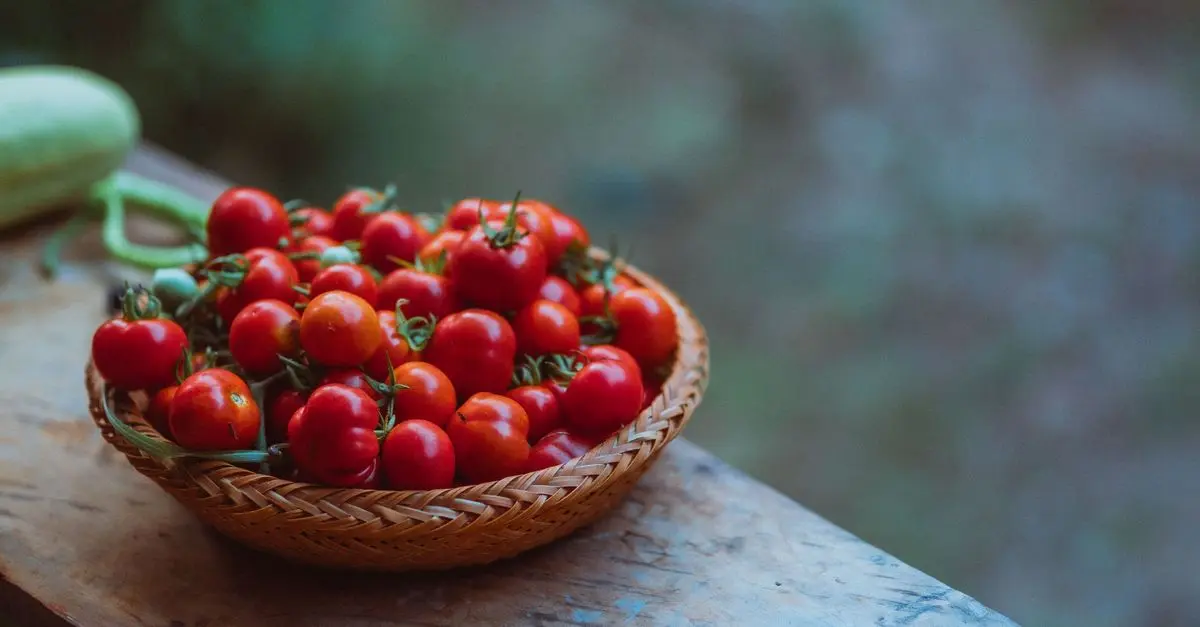 Les Astuces Incontournables pour Bien Utiliser votre Panier de Légumes