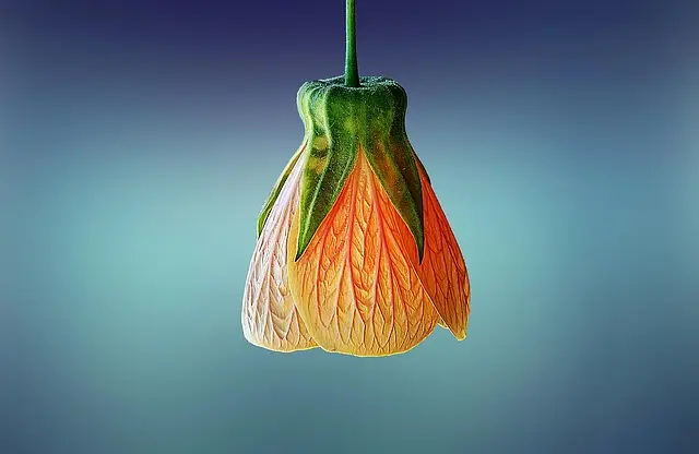Nowe akcesoria, które przyniesie wiosna: Must-have na sezon