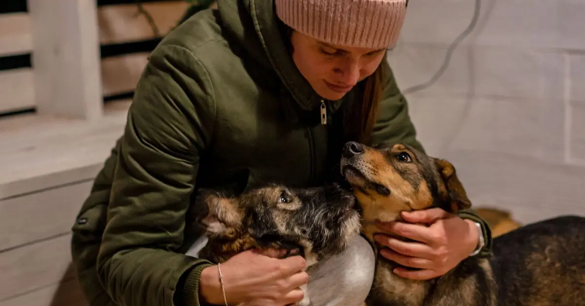 10 Essential Tips for Creating a Happy Home for Your Pets