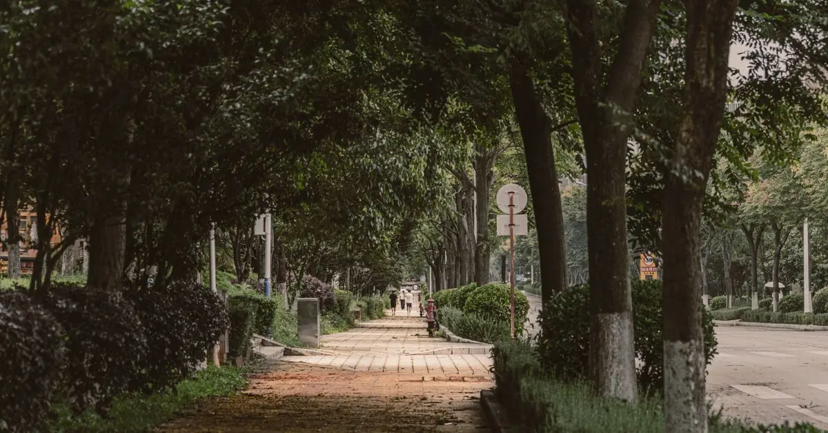 10 Essential Walking Techniques to Maximize Your Fitness Gains