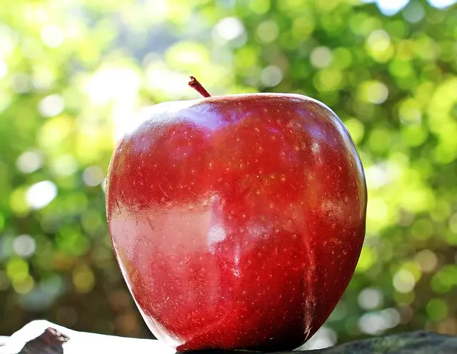 Cómo hacer una tarta de manzana perfecta: receta y secretos