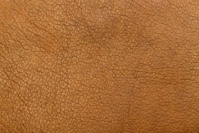 Jakie trendy modowe będą dominować w nadchodzących sezonach?