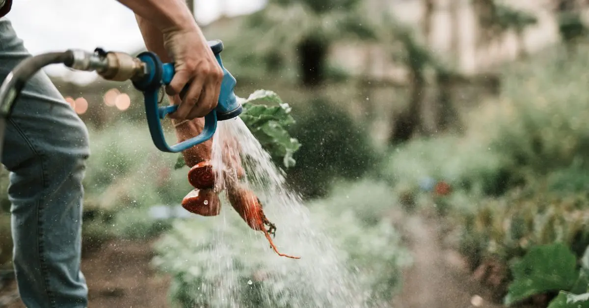 Les bienfaits de l'irrigation durable pour votre jardin