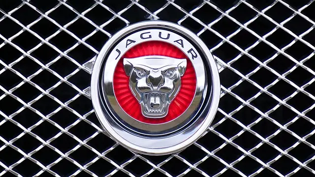 Les secrets des marques iconiques : comment elles fascinent
