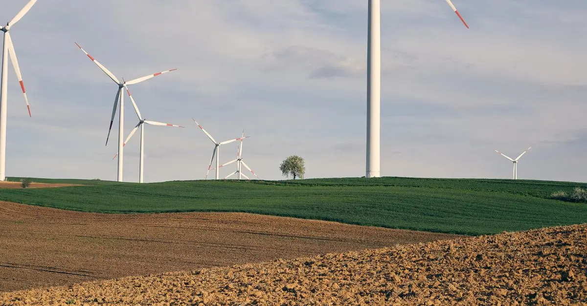 Analyse de l'impact du transport sur l'environnement