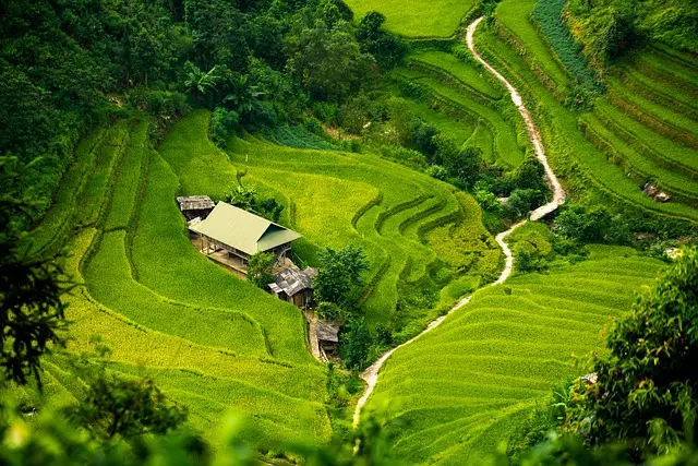 Come Realizzare Decorazioni Fai da Te con Materiali Naturali