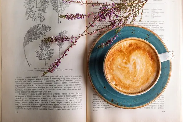 Cómo Aprender Español a Través de la Literatura: Estrategias Efectivas