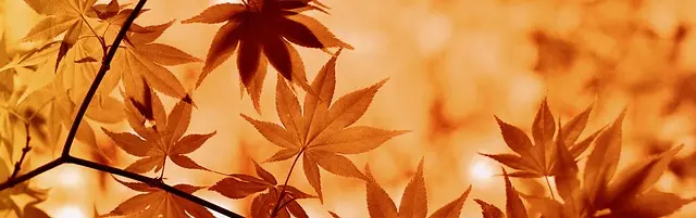 5 conseils pour bien choisir vos vêtements d'automne