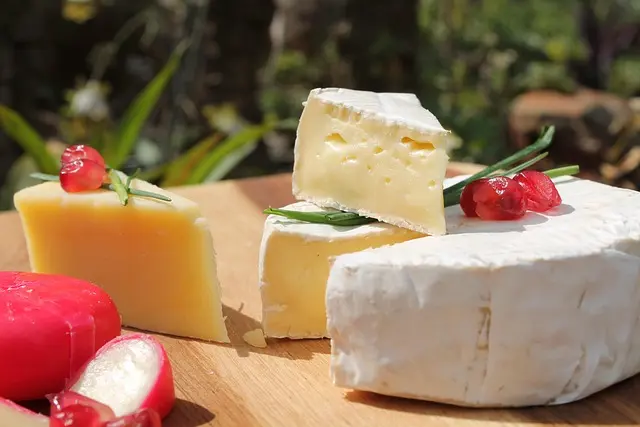 Tout savoir sur l'encyclopédie des fromages : variétés et appréciations