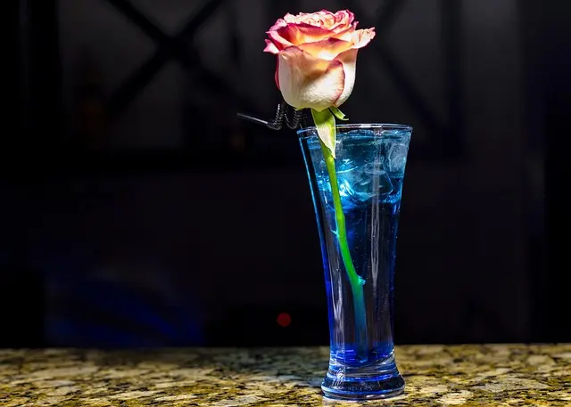 Guide Pratique pour Créer des Cocktails Équilibrés