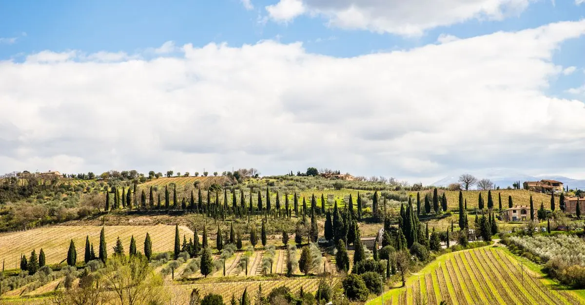 Fuga nel Cuore della Toscana: Un'Avventura da Non Perdere