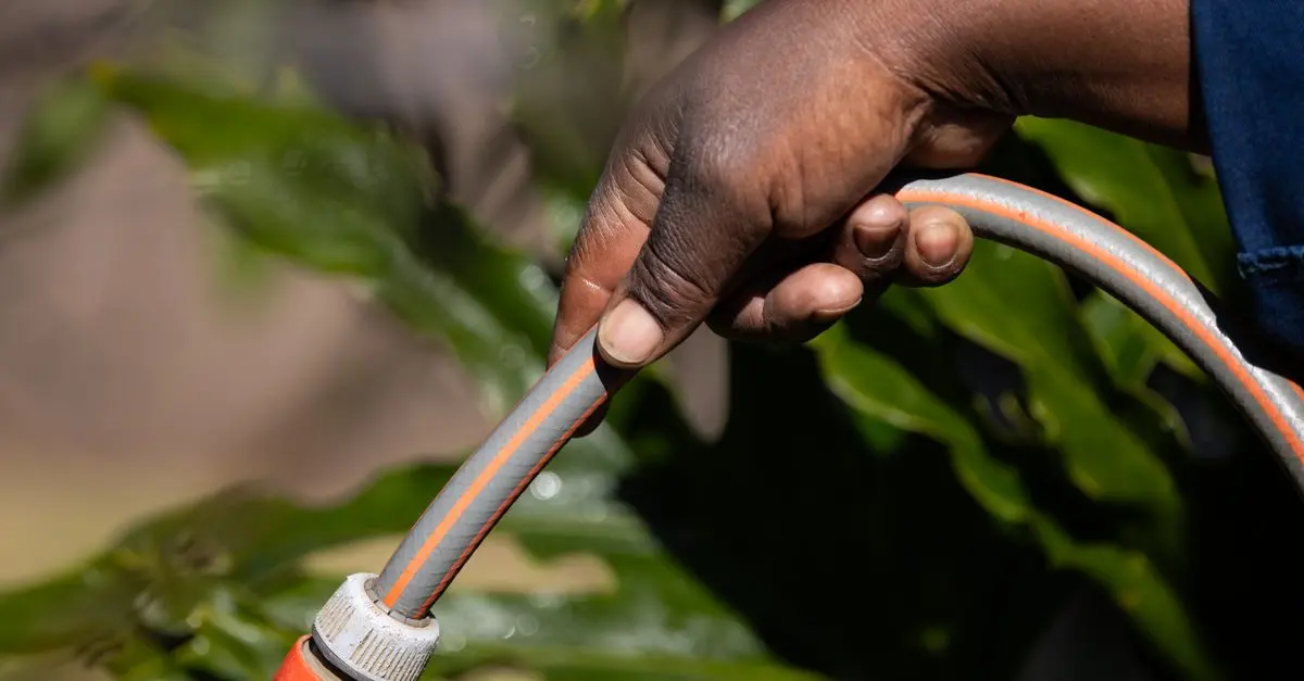 Comment choisir le bon système d'irrigation pour votre jardin