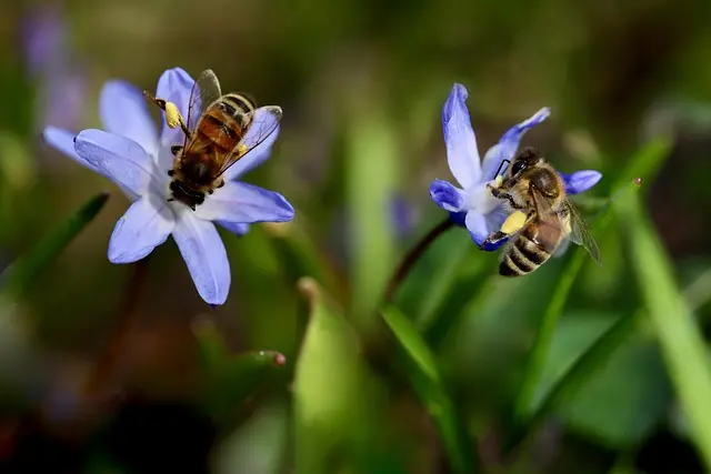 Les pays à explorer absolument pour leur biodiversité unique