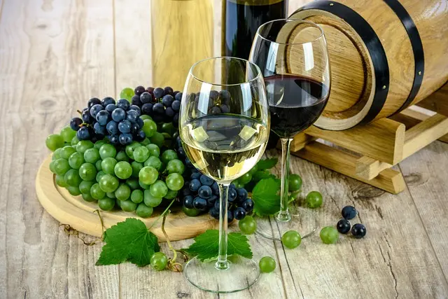 Los Mejores Consejos para Elegir Vino Español para tus Platos