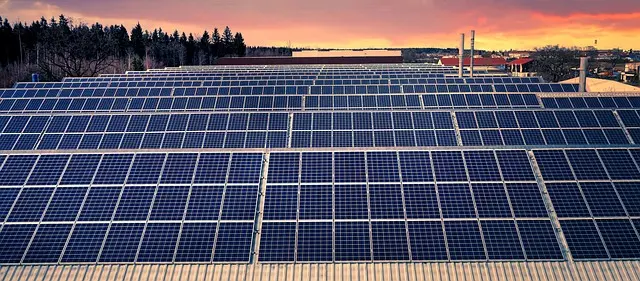 4 Conseils pour Maximiser les Économies avec des Panneaux Solaires
