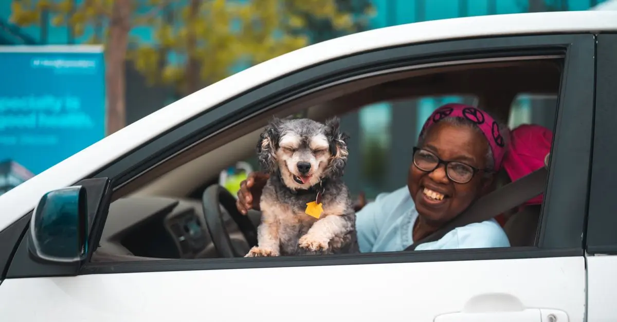 10 Essential Tips for Traveling with Your Pets Safely