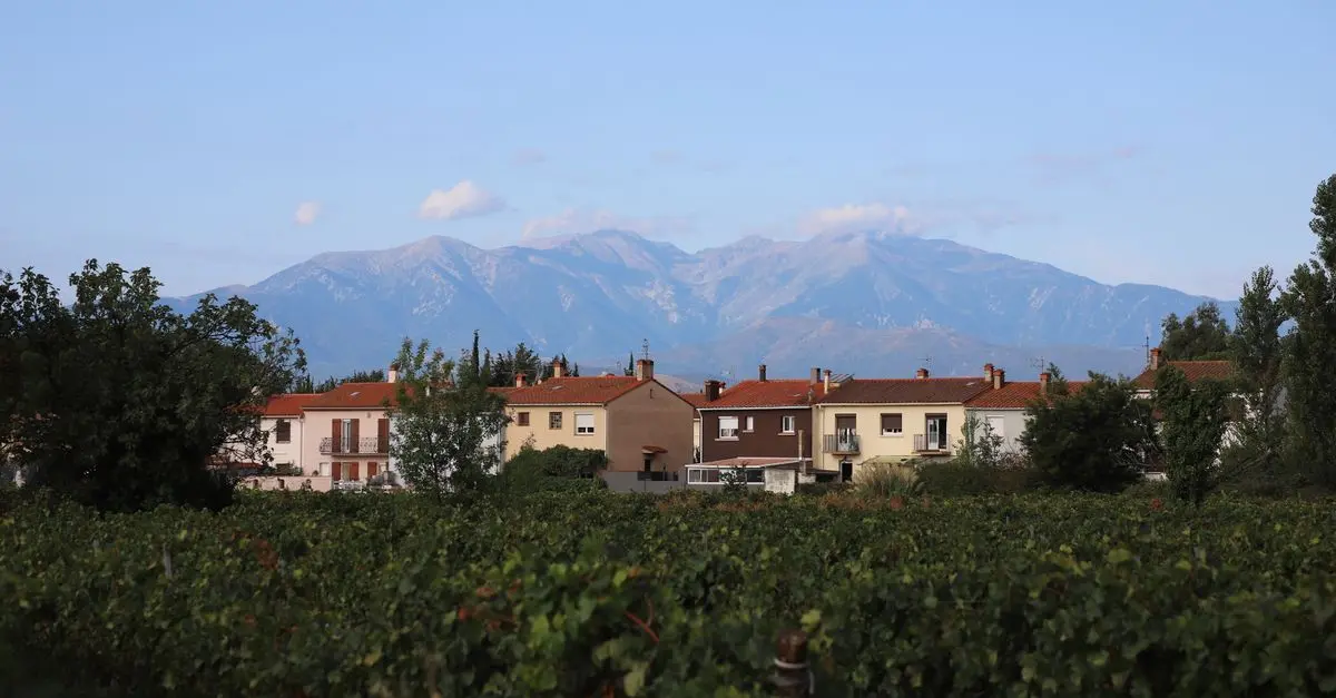 Rutas de vino por La Rioja: una experiencia sensorial