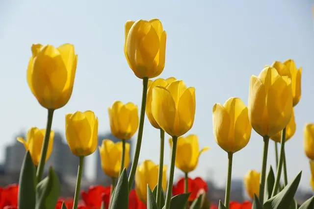 Tendencias fashion para la primavera: Colores y estilos imprescindibles