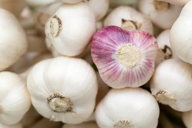 How to Create a Culinary Portfolio That Impresses Employers