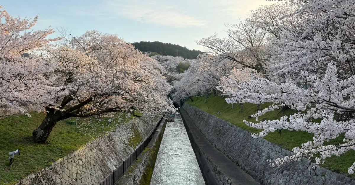 Exploring Timeless Travel Destinations That Inspire Awe