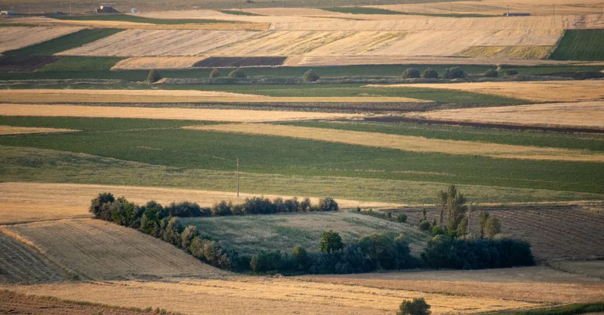 Comment choisir les pièces agricoles idéales pour vos cultures