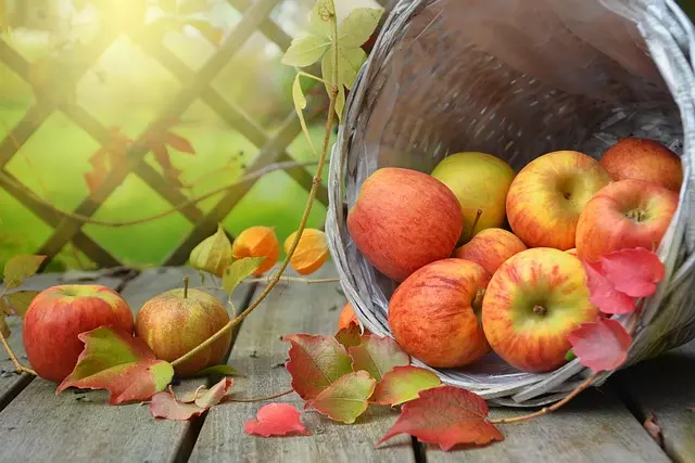 Les Meilleurs Fruits de Saison à Déguster en Automne