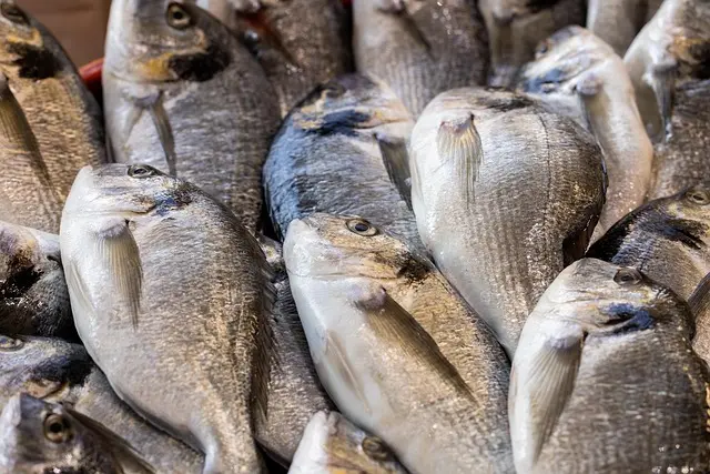 Guide pratique pour préparer un poisson frais en 10 étapes