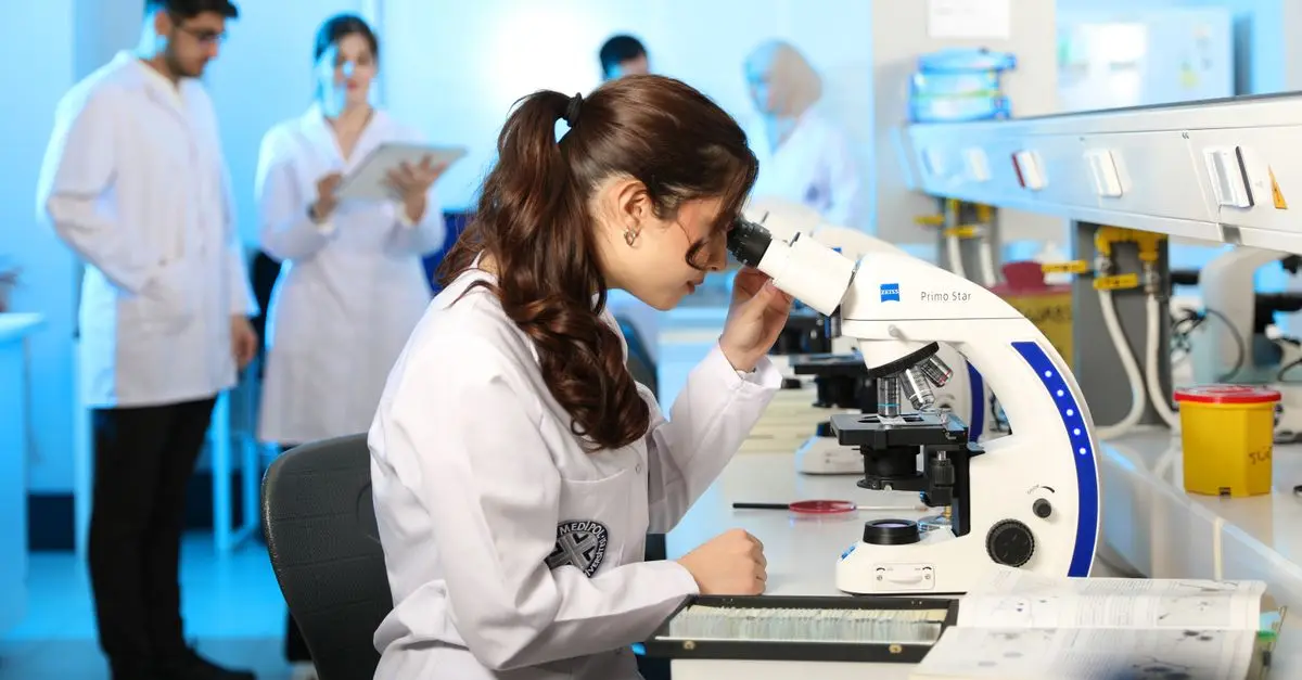 How to Explore Different Scientific Disciplines Effectively