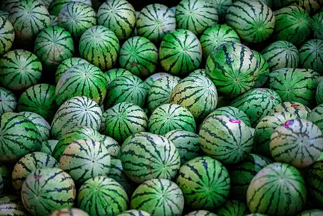 Les Fruits de Saison à Découvrir en Juillet : Bienfaits et Recettes
