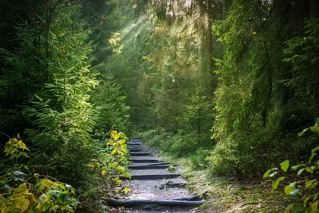 10 Activités de Relaxation à Essayer en Plein Air