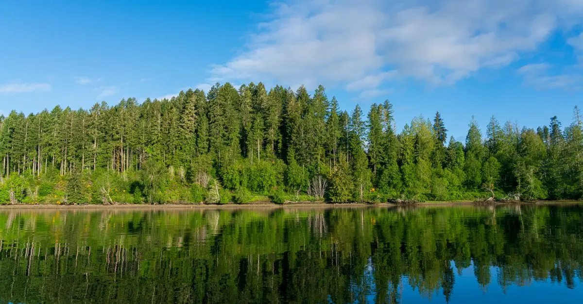 Comment Observer la Faune durant vos Expéditions en Nature