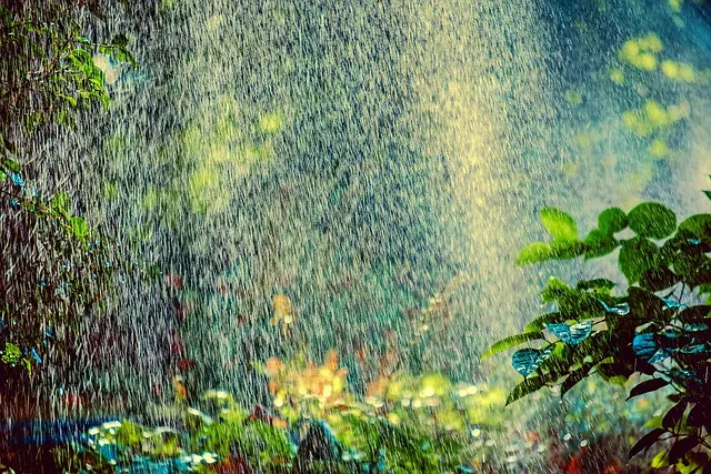 Comment choisir un système d'irrigation pour votre jardin