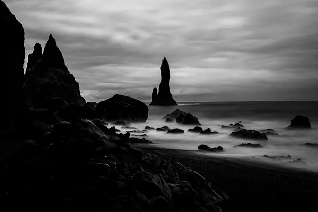 Jakie są najważniejsze akcesoria dla psów? Przewodnik