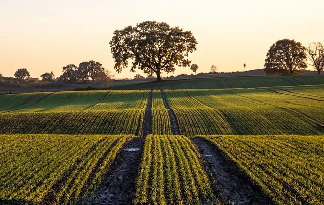 Les 10 Meilleures Pièces Détachées pour Optimiser Votre Tracteur
