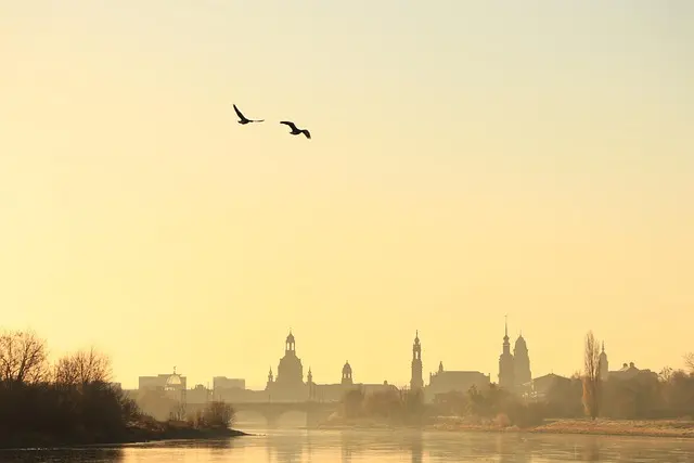 How to Make Your Holiday Travel Plans More Sustainable
