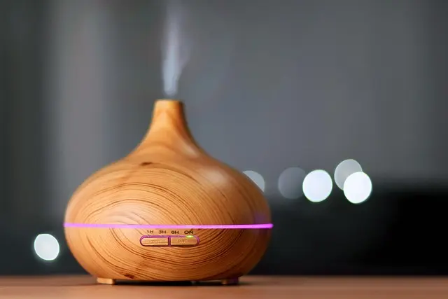Guía de Compra del Mejor Humidificador