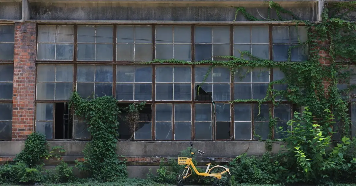 Guide pratique pour explorer les paysages abandonnés
