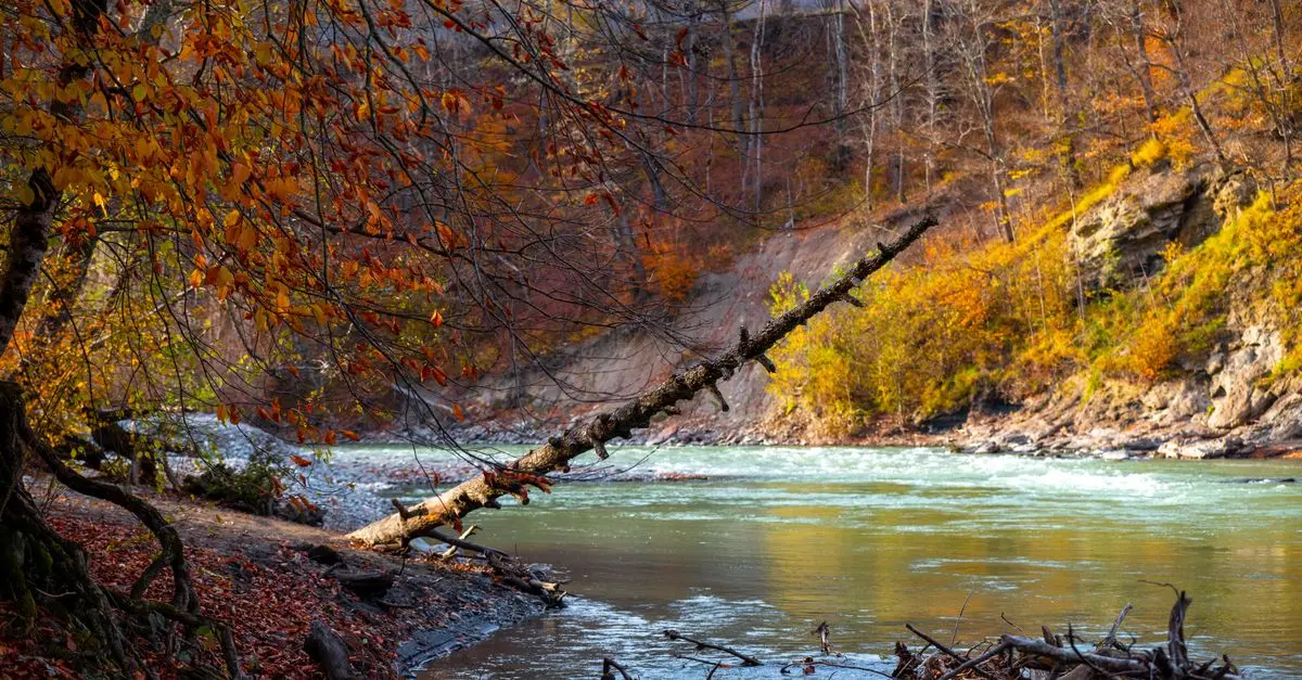 Les meilleures astuces pour un voyage inoubliable en automne