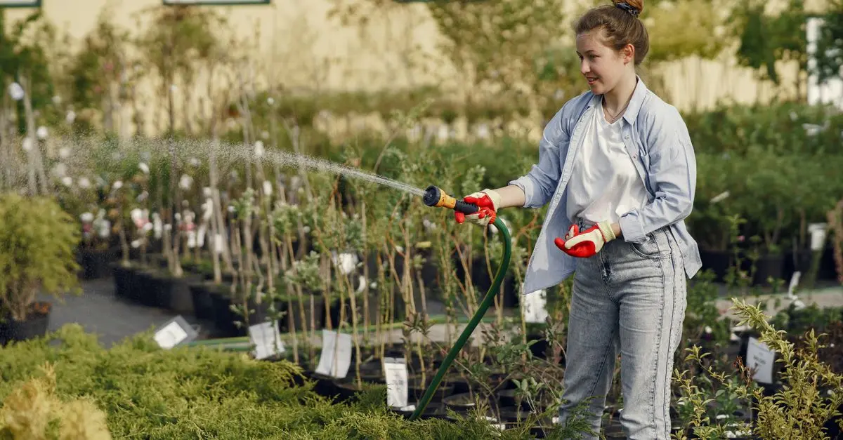 Tutoriel pour configurer un programmateur d'irrigation