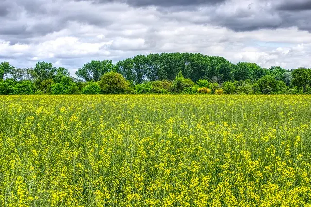 5 Escapadas Fáciles para Disfrutar de la Naturaleza en Primavera