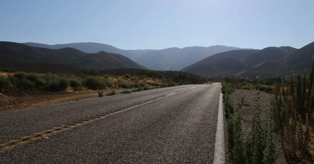 Consejos para disfrutar de un road trip sin preocupaciones