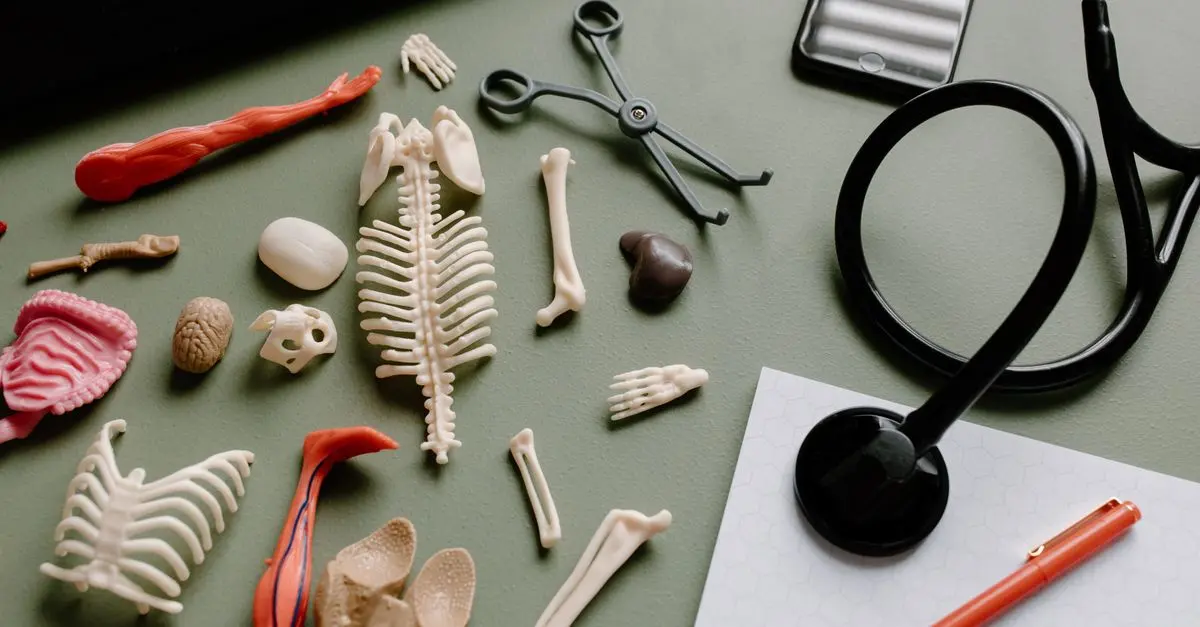 Comment choisir des fournitures médicales adaptées à votre pratique