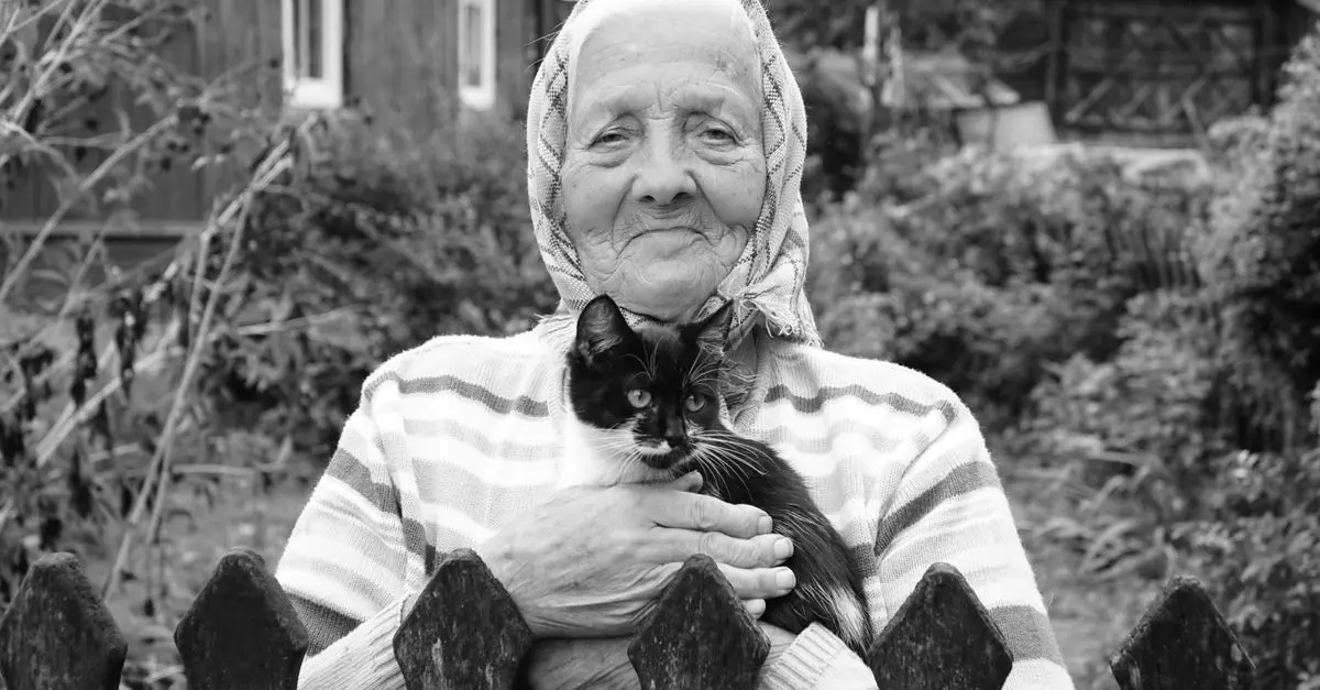 Comment créer un espace sécurisé pour votre animal senior