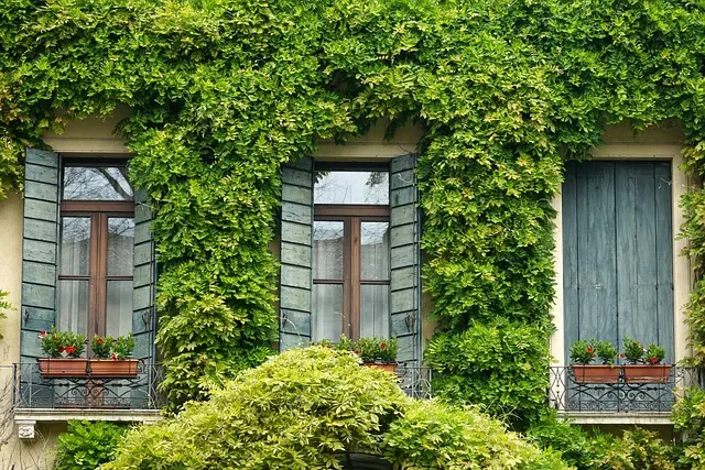Guide Pratique pour Cultiver des Légumes en Conteneur