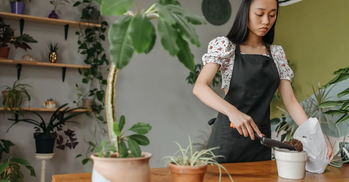 10 Idées DIY Faciles Pour Redécorer Votre Salon