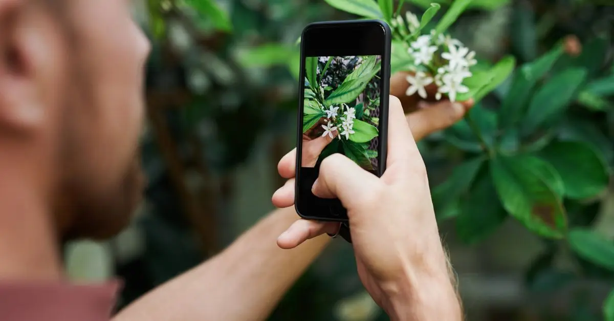 Les objets connectés pour un jardin intelligent et écologique