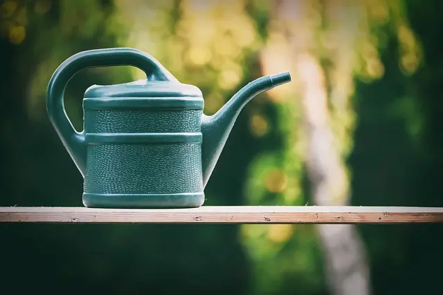Guide complet pour l'entretien de votre système d'irrigation